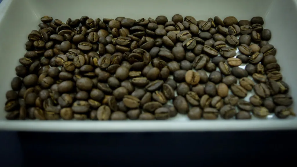 Producción de café colombiano 