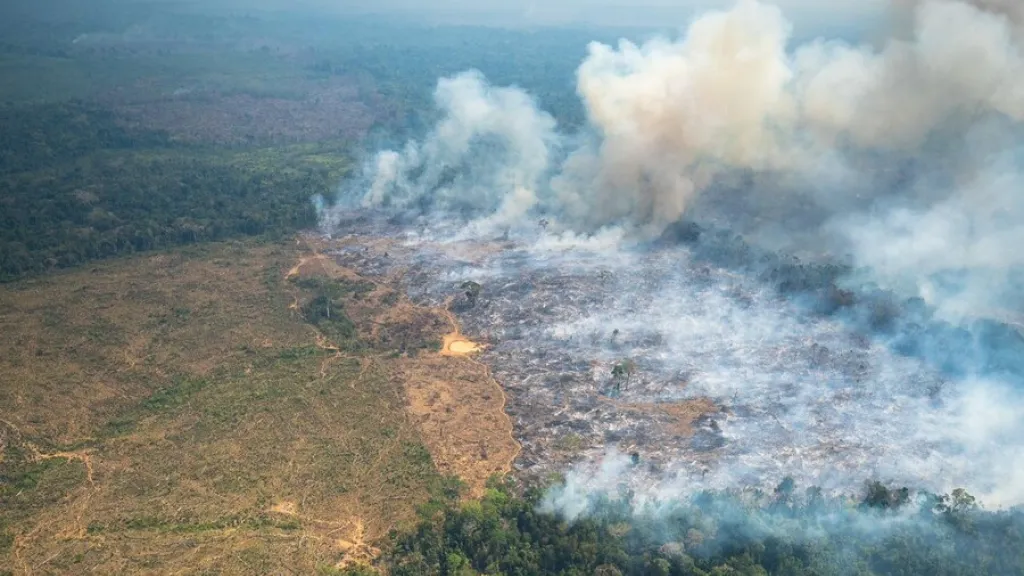 Campaña Artemisa del Gobierno Nacional 
