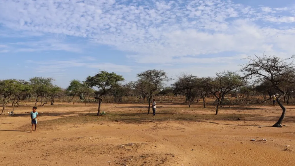 35 menores wayuu se encuentran en riesgo de desnutrición | La Guajira