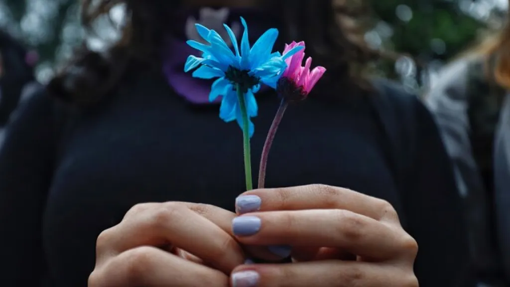 Siete mujeres mueren diariamente en Colombia por cáncer de cuello uterino: estudio