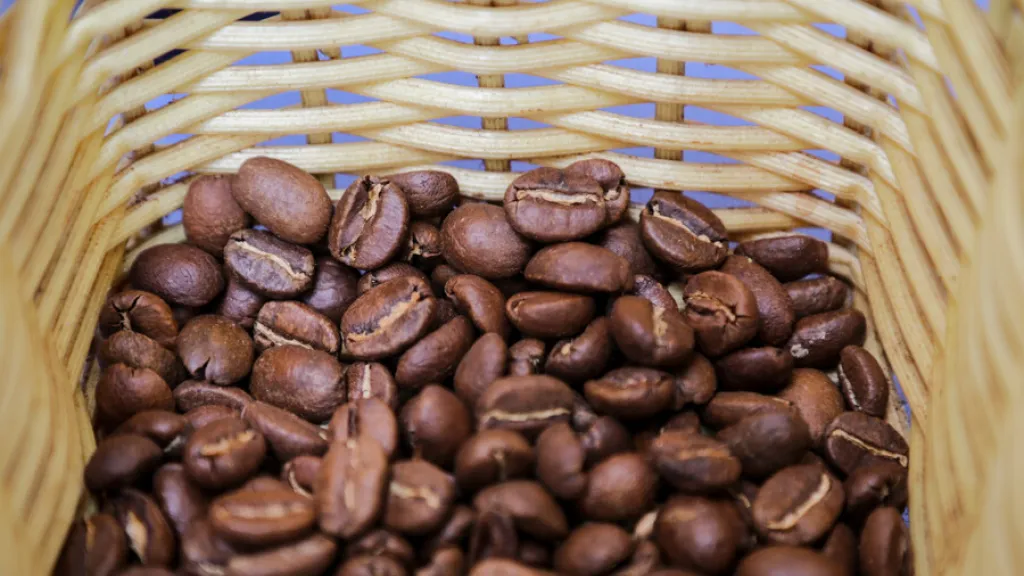 Coffee Master en Bogotá 2023: bebidas, fechas y participantes