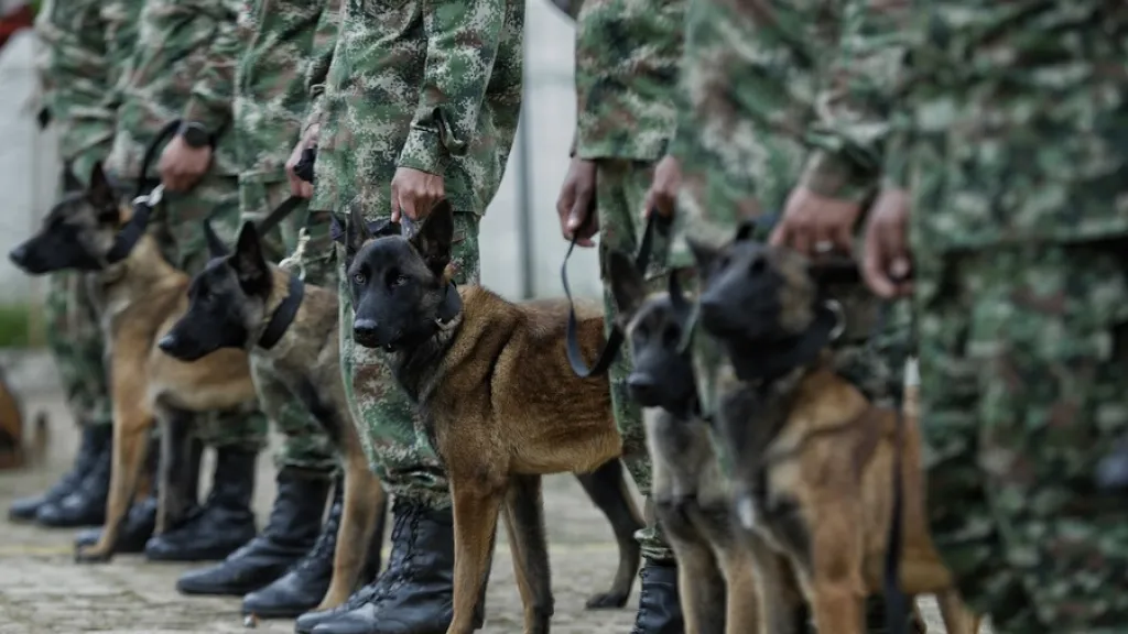 Tierralta, Córdoba, MinDefensa exige drásticas decisiones luego de que militares amenazaron a una comunidad