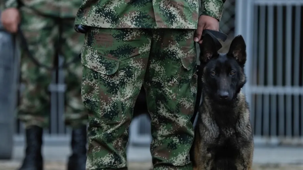 Ejército 
