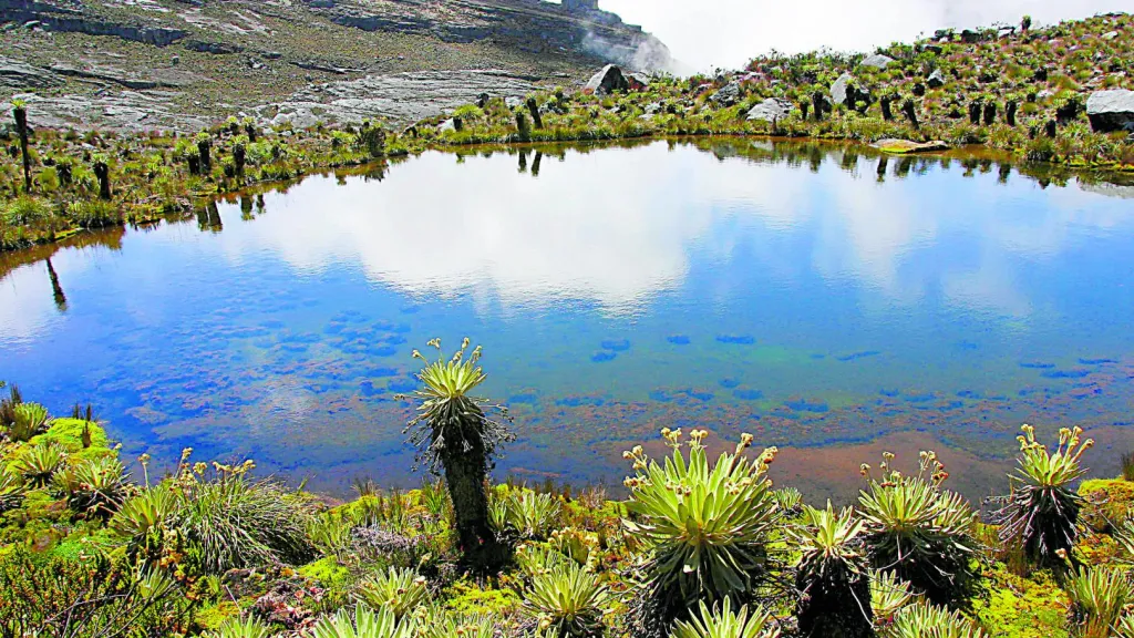 Podcast sobre páramo de Sumapaz | Idartes