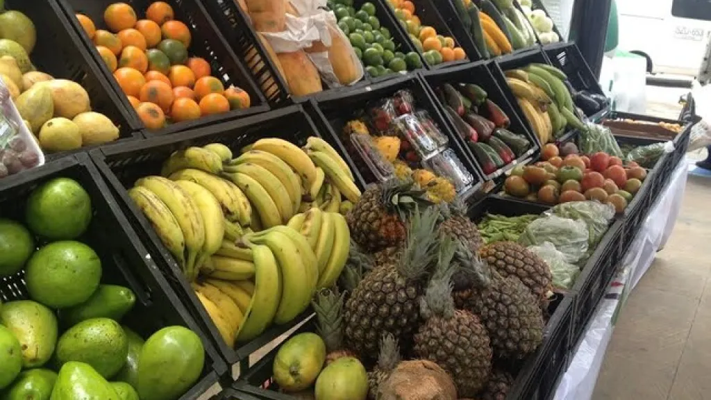 Revelan las frutas más exportadas en Colombia 2023