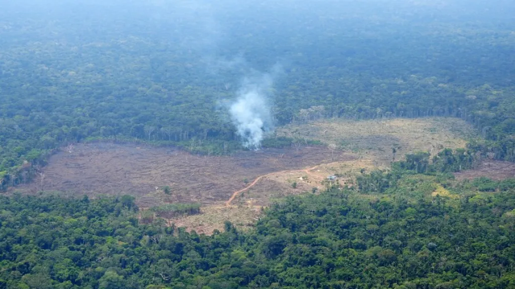 Incendios forestales en Colombia
