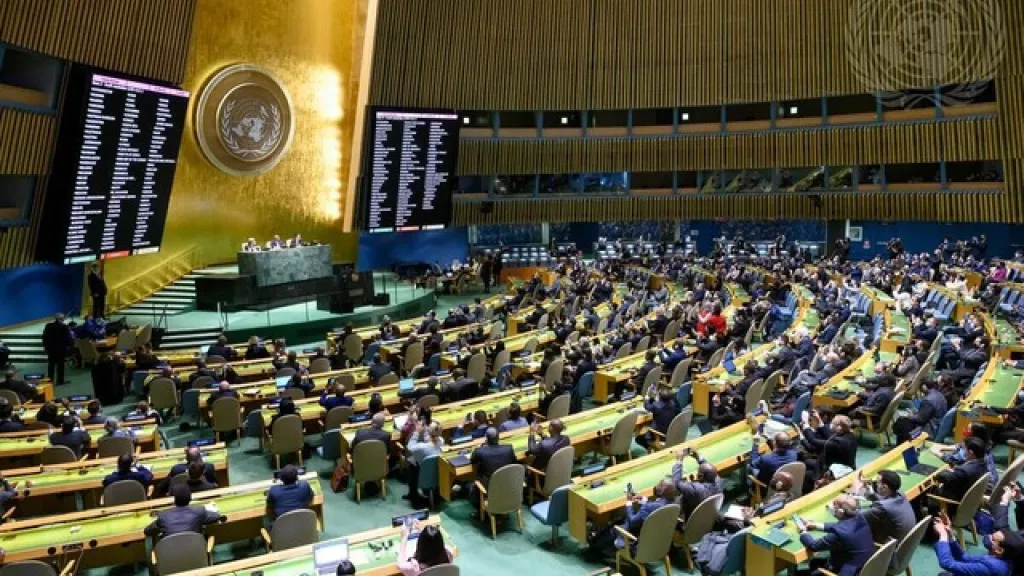 Asamblea General de la ONU