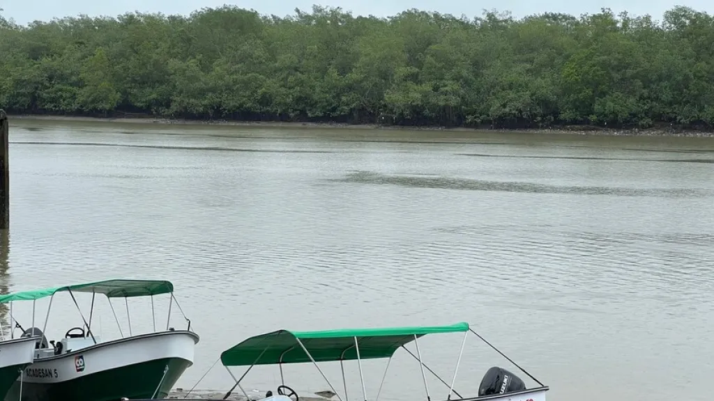  Buenaventura: 200 familias permanecen confinadas por acciones armadas