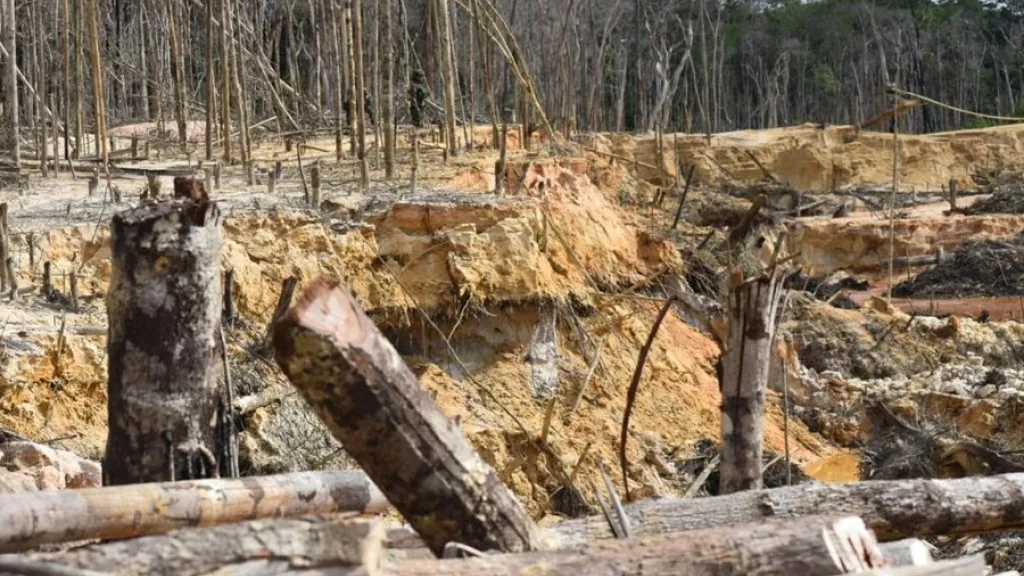 En Guainía tomará 30 años recuperar territorios afectados por la minería ilegal