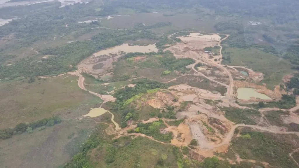 Reducción de deforestación en Colombia 2022 