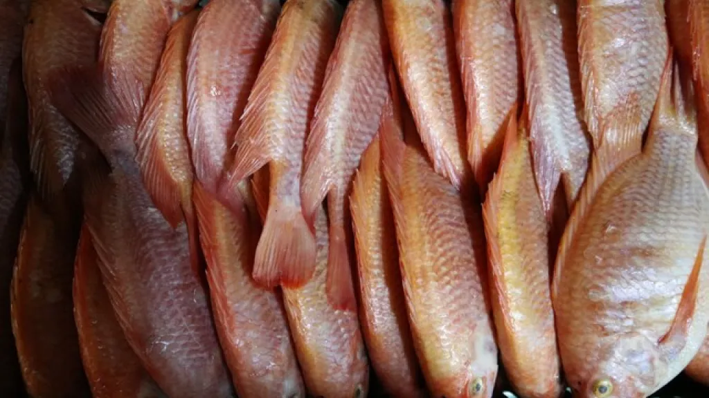 precios de pescados y mariscos en Semana Santa