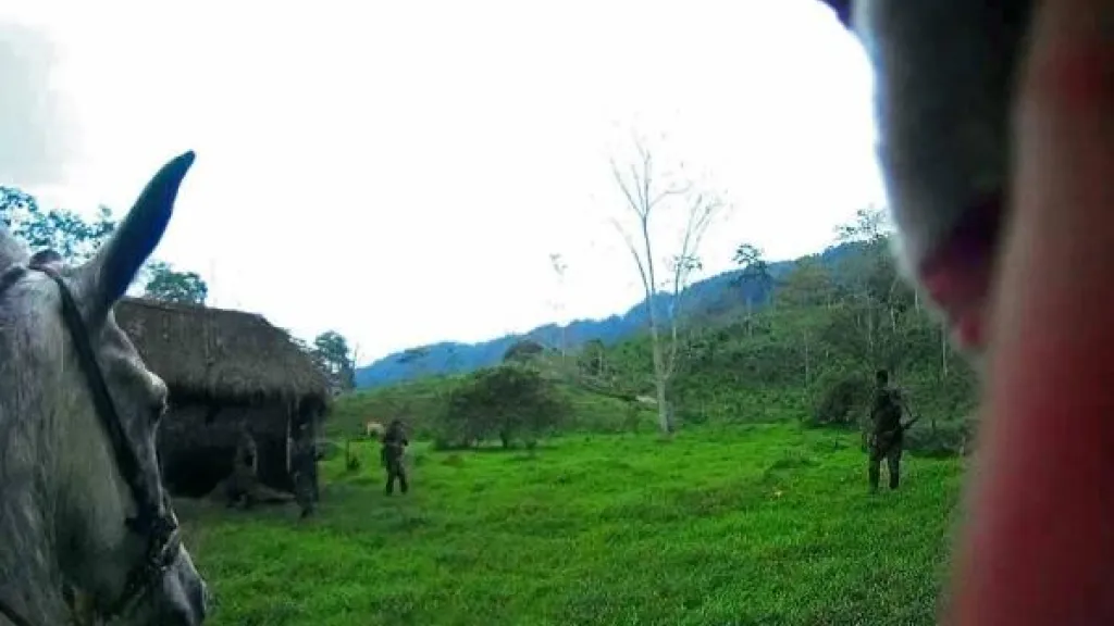 Responsabilidad del Estado en la creación del paramilitarismo