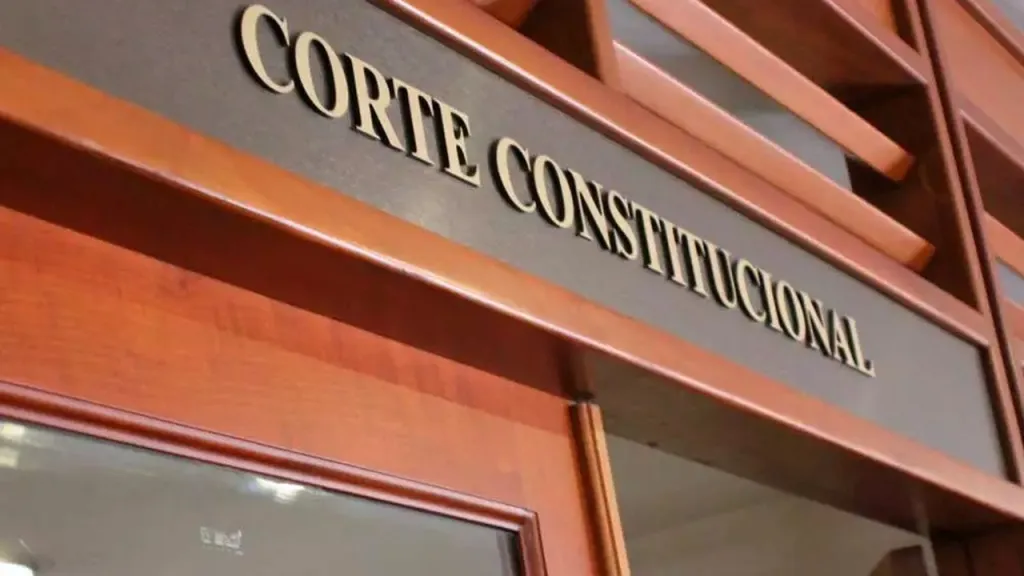 Llamado Corte Constitucional sobre violencia sexual 