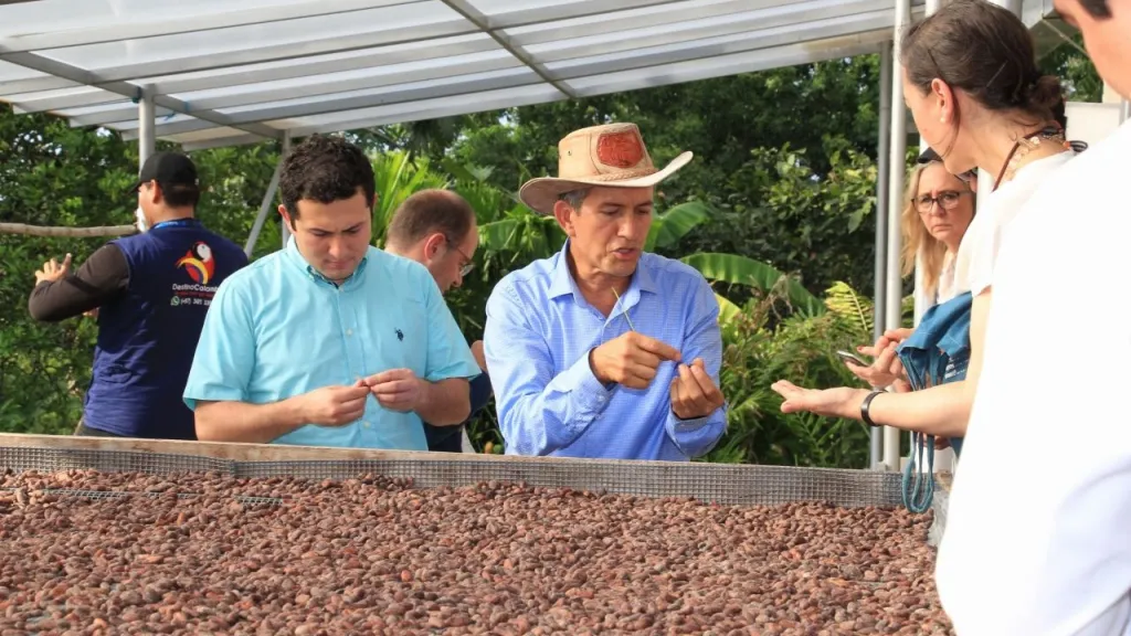 Alerta sanitaria en Huila por plagas en cultivos de cacao