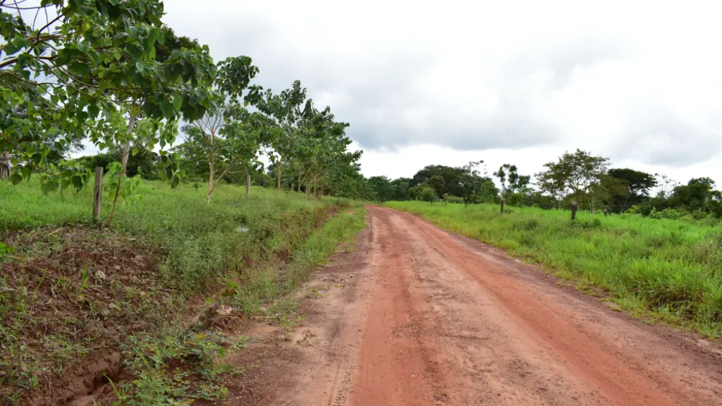 Un soldado falleció en Caquetá, autoridades investigan las causas