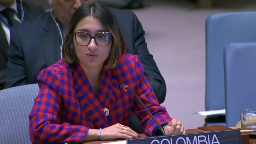Consejo de Seguridad de la ONU: Laura Sarabia