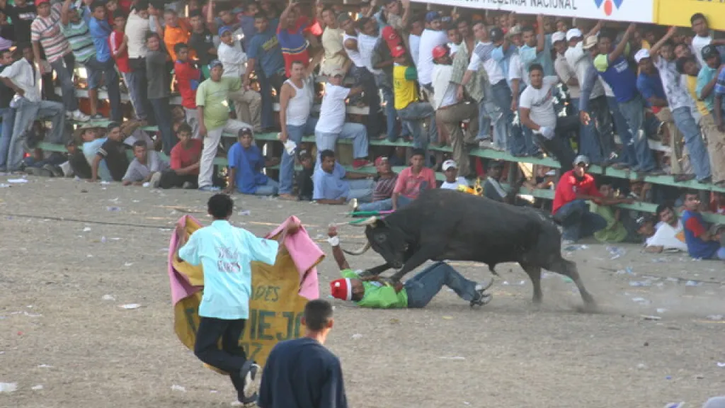 Corralejas en el Espinal | Palco en plaza de toros se desplomó