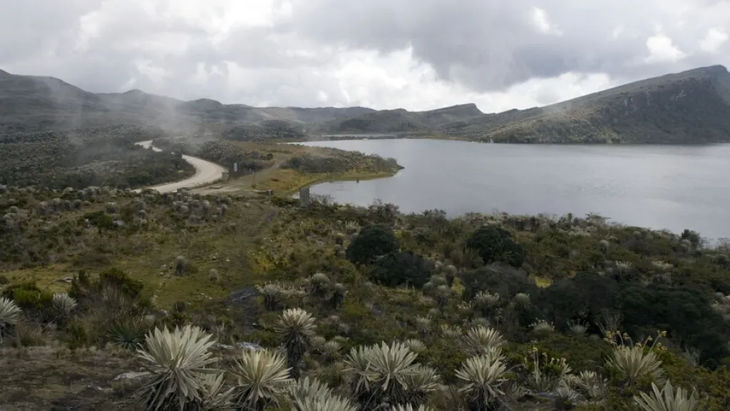 Documental sobre la realidad de los páramos en Colombia | Señal Colombia