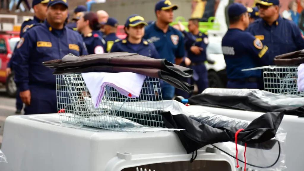 Bomberos caldas