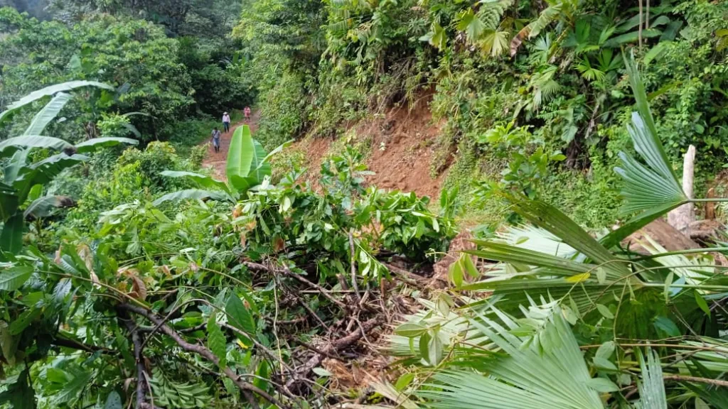 Creciente del río Paparidó HOY: afectaciones indígenas de Pueblo Rico, Risaralda