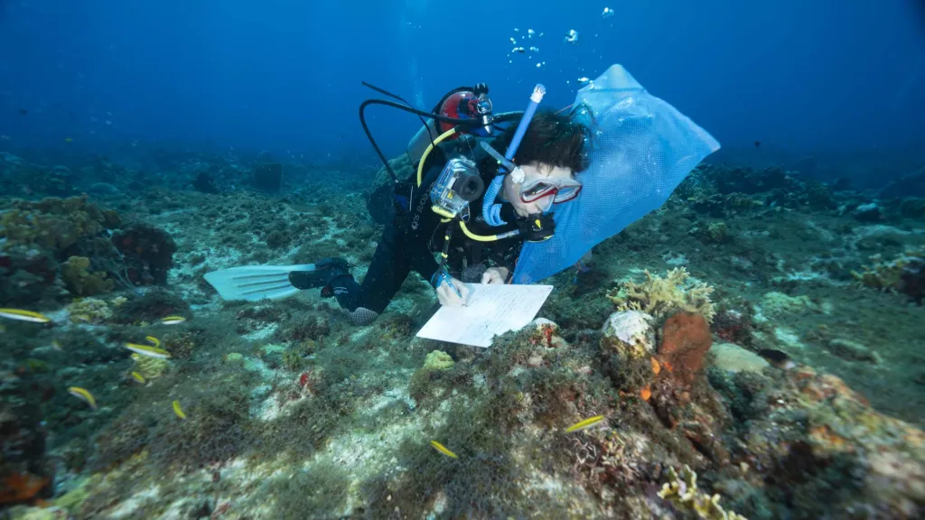 Expedición Científica Seaflower: excursión a Cayo Bolívar | San Andrés