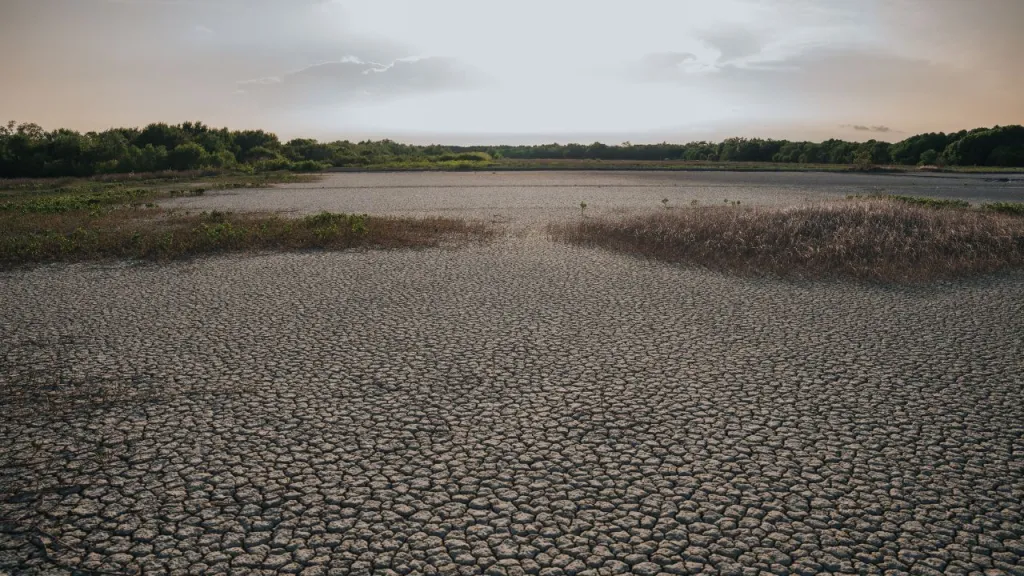 El Niño podría causar hasta 450.000 muertes por calor, según un estudio que analiza los efectos de las altas temperaturas y el cambio climático.