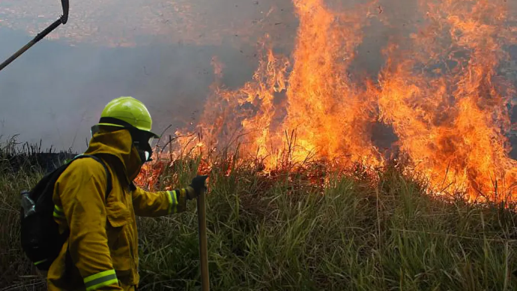 El fuego pone en alerta a Colombia: 114 municipios bajo amenaza de incendios forestales