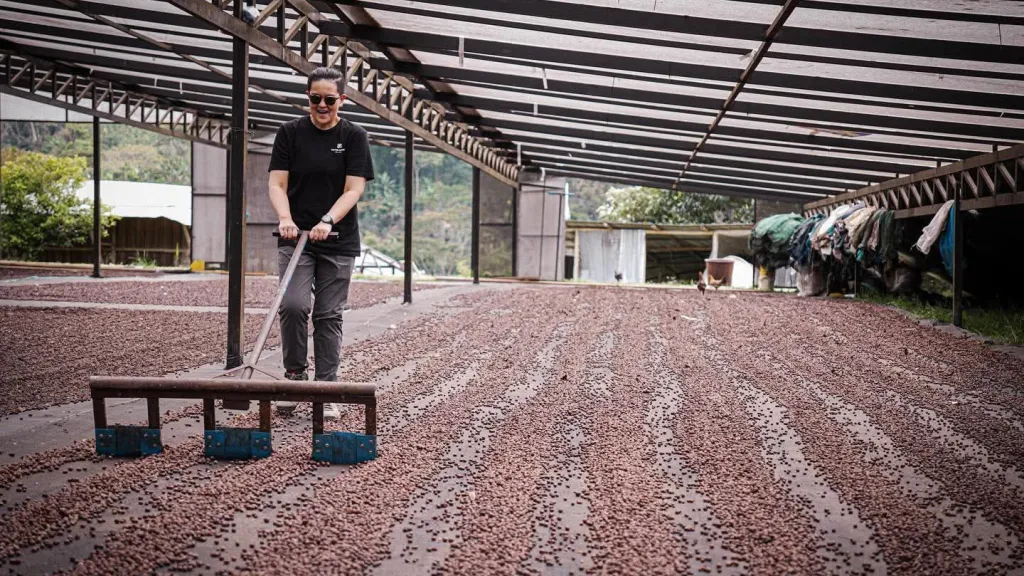 El sur del Tolima le apuesta al café de calidad mundial