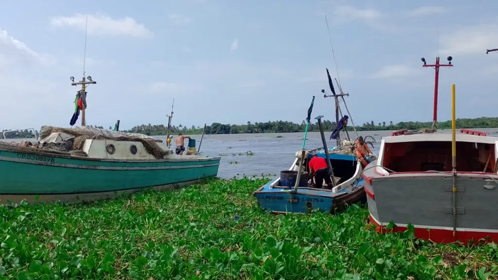 Riesgos de pescar en Bocas de Ceniza