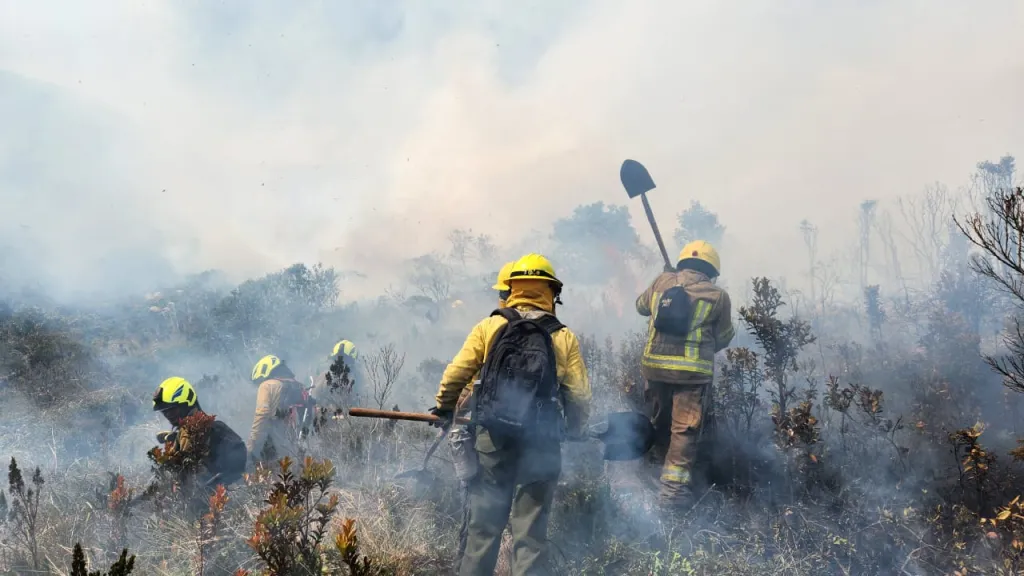 Incendio forestal en el Santuario de Flora y Fauna Galeras, de Nariño