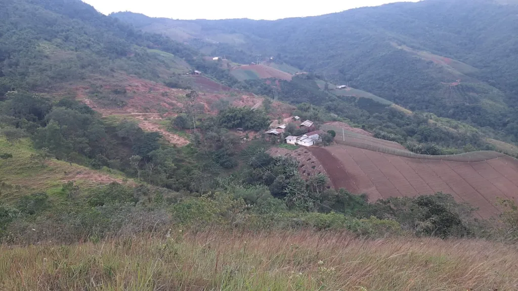 Fincas para la Paz en Norte de Santander 