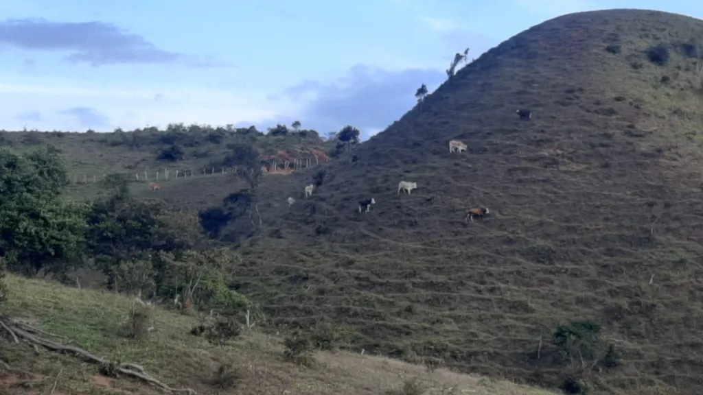 Fincas para la paz en Norte de Santander 