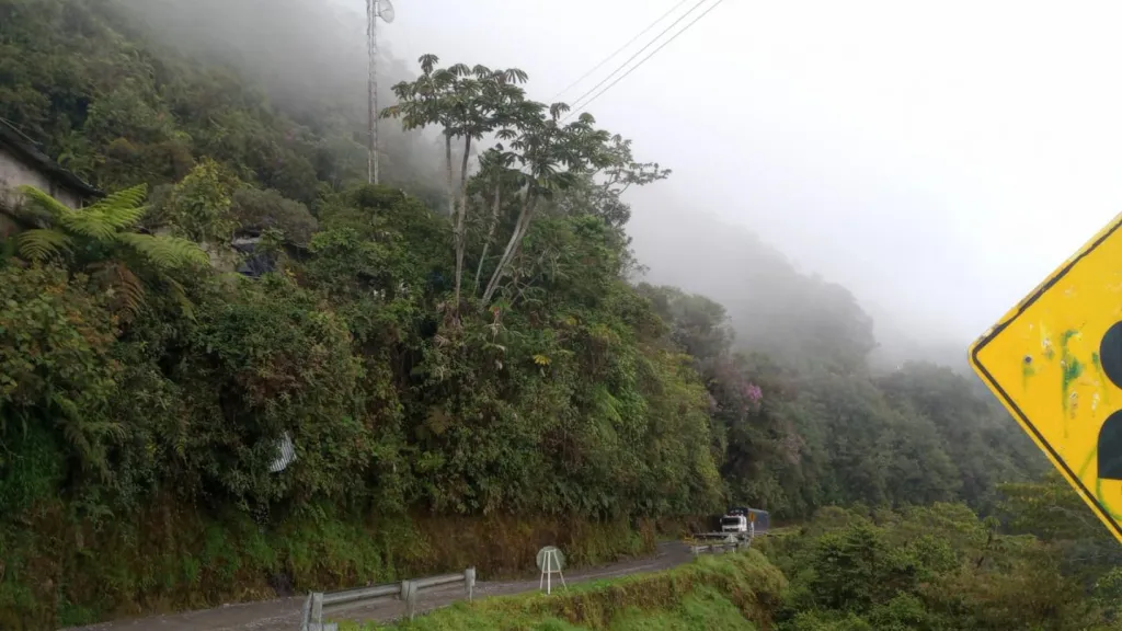 El trampolín de la muerte: recomendaciones para recorrer peligrosa vía