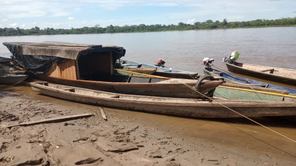 Foro Internacional: crímenes contra la naturaleza y el territorio: conclusiones