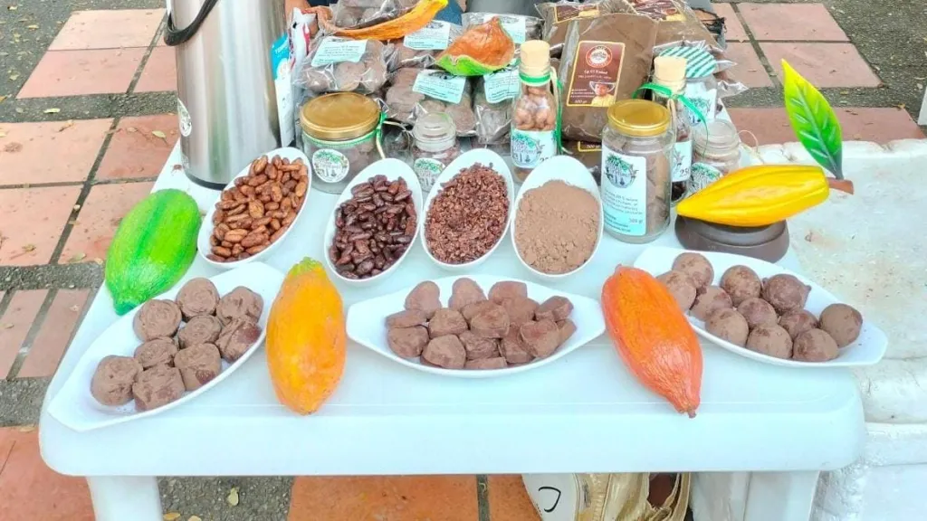 Chocolates Catatumbo: transformación legal desde los cultivos ilícitos