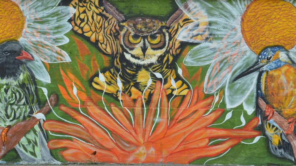 Ñawikuna: promoviendo la paz en Putumayo a través del arte