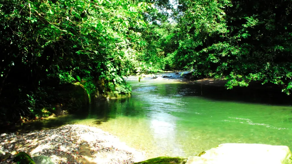 Turistas disfrutando las frescas y limpias aguas del río Vides
