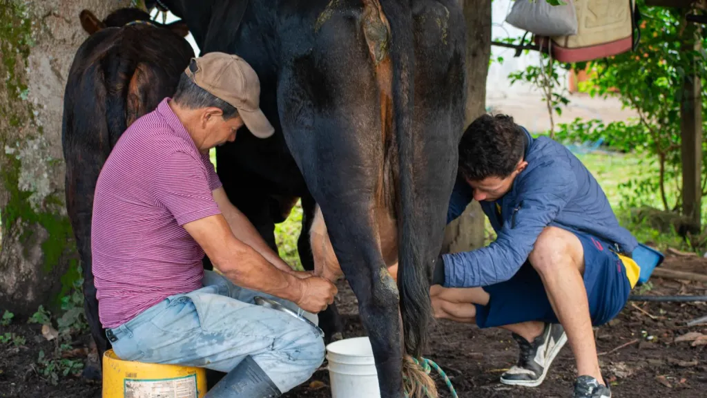 Agroecología para promover el campo en los jóvenes 
