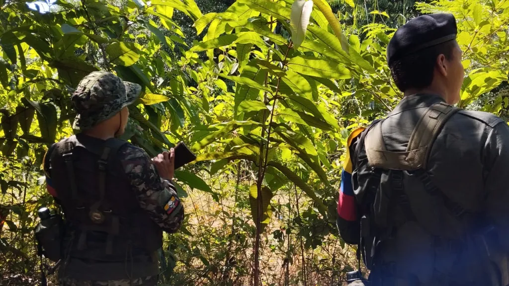 Norte de Santander: habitantes buscan paz total