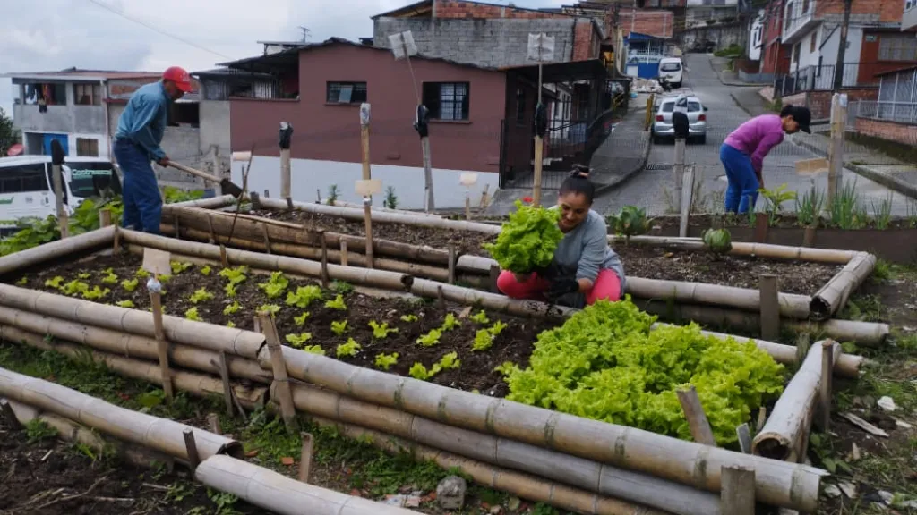 Huertas urbanas en los barrios de Manizales