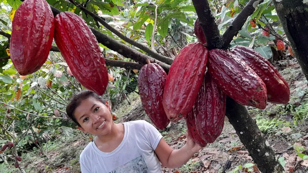 La Ruta del Chocolate, una deliciosa manera de disfrutar el agroturismo en Putumayo