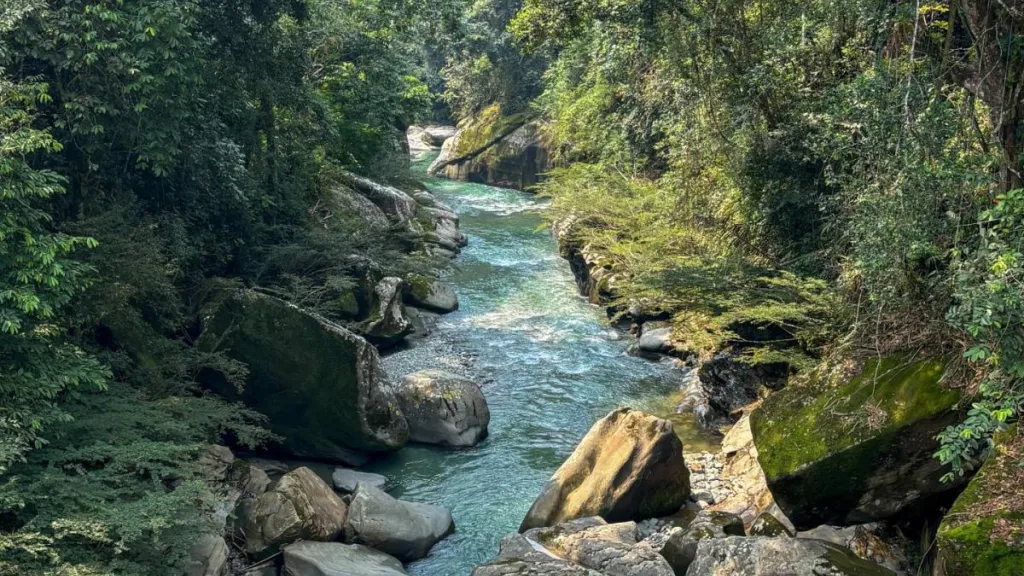 Turismo sostenible Colombia: lugares para conocer en Meta