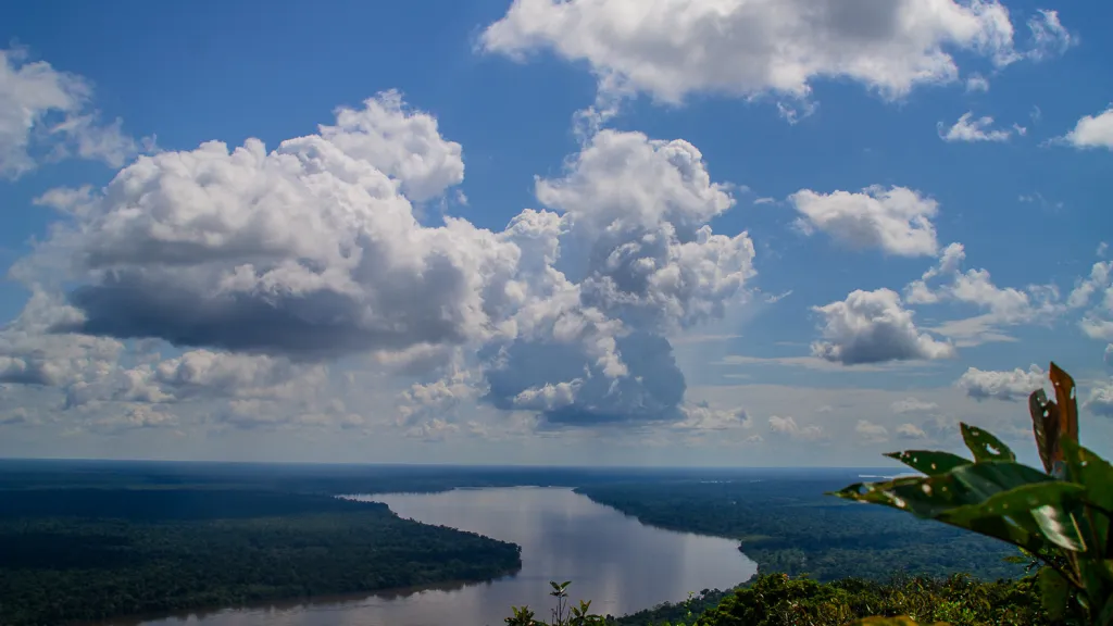 Gobierno crea la Primera Concesión Forestal Campesina de Colombia en la Amazonía