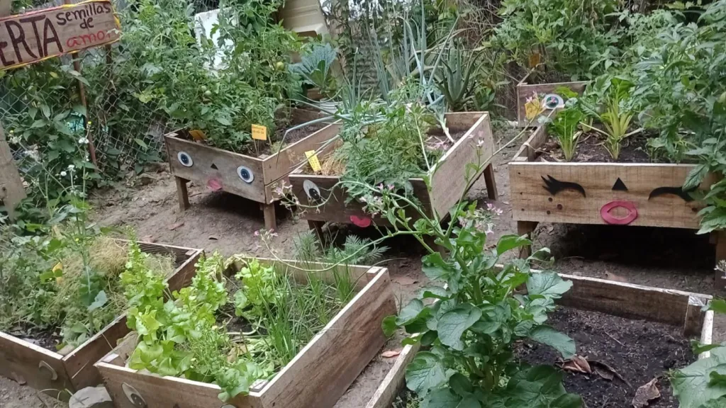 Soberanía alimentaria con huertas periurbanas en Rioblanco, Tolima