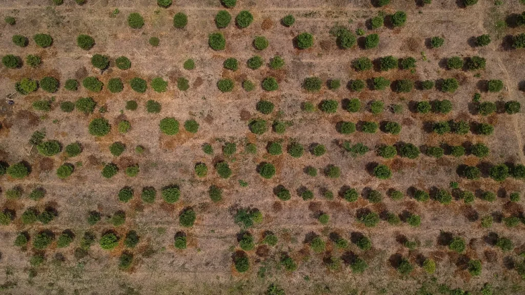 Ideam alerta por posible fenómeno de El Niño en Colombia