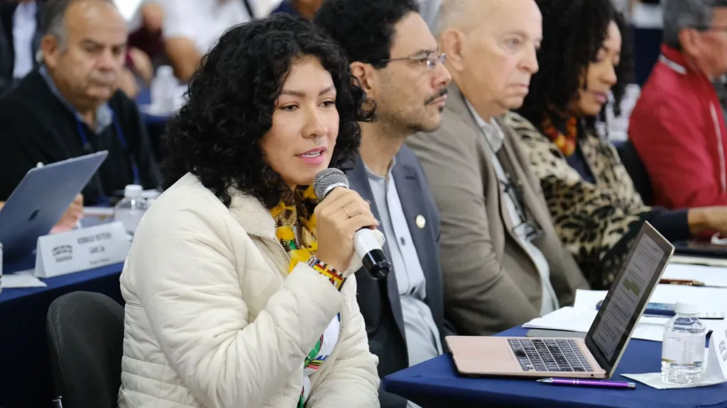 Dayana Domico