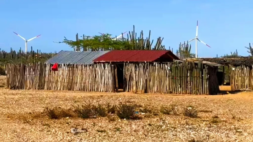 Suspensión proyecto de energía eólico La Guajira: motivos