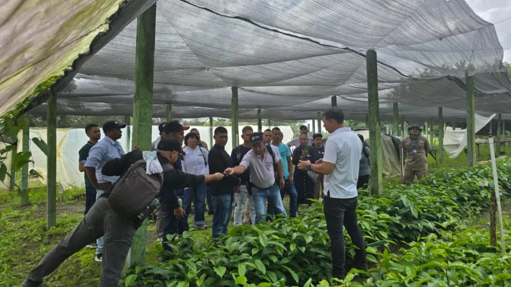 Caficultores del Alto Sinú se capacitan para mejorar la calidad del café en Córdoba