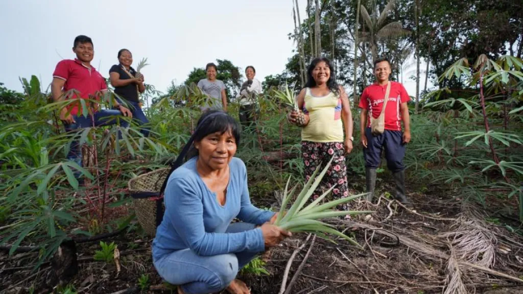 Mujeres en la Amazonía: emprendimiento y conocimiento ancestral