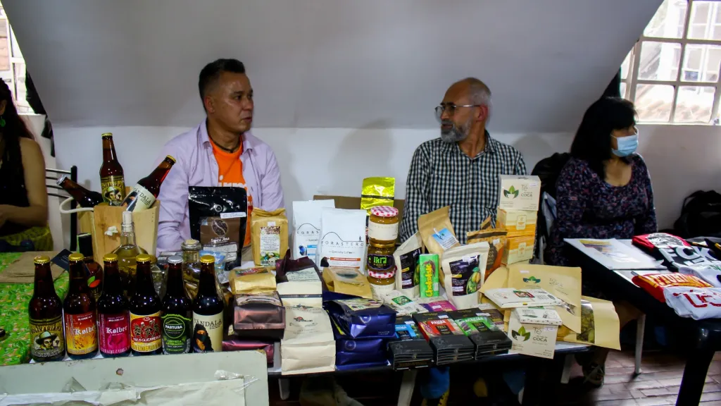 Día internacional de la paz: proyectos e historias